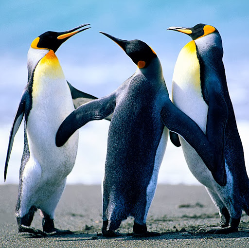 Sarah Whiting Photo 40 Sarah Whiting Photo 40