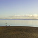 Dawn Paz Photo 5