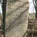 Thomas Merritt Photo 40