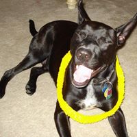 Bryan Rutledge Photo 34