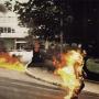 Neal King Photo 24