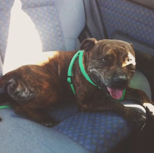 Stephanie Pickett Photo 19