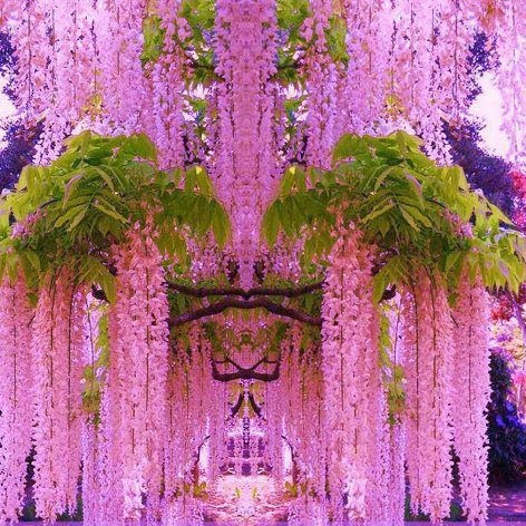 Ilona Simon Photo 11