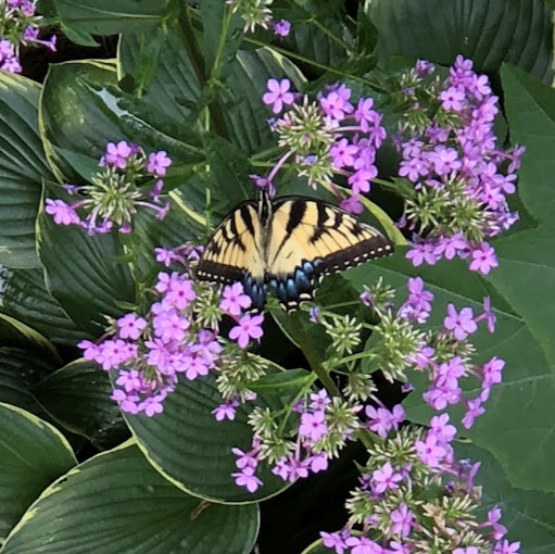 Jeanine Allen Photo 12 Jeanine Allen Photo 12