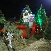 Lynda Faulkner Photo 7