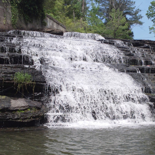 Teresa Powell Photo 26