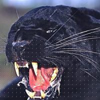 Gregory Warren Photo 32