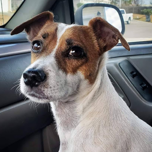 Matthew Jensen Photo 33