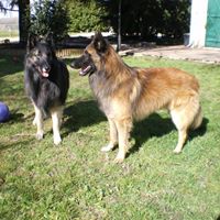 Frances Browning Photo 25