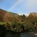 Crystal Dow Photo 13