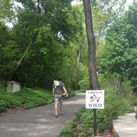 Adam Schwartz Photo 6