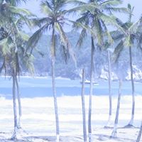 Robin Kearns Photo 9