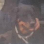 Curtis Fletcher Photo 7