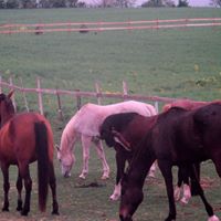 Jill Horton Photo 31