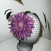 Aaron Swenson Photo 45