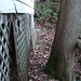 Michael Hatley Photo 43