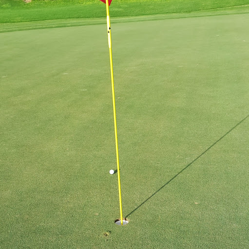 Douglas Lang Photo 38