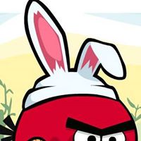 Marcus Bailey Photo 20