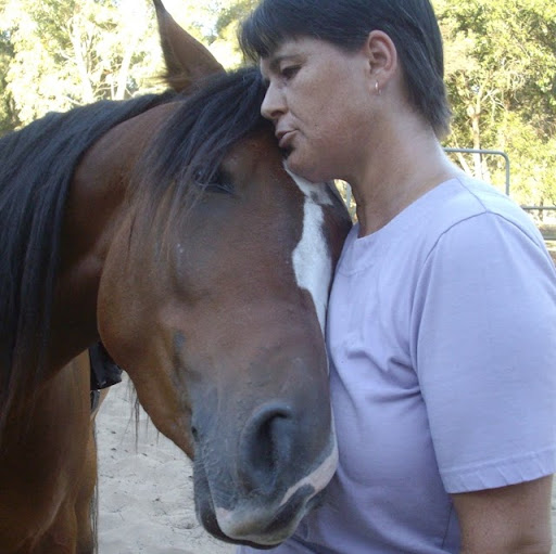 Lisa Steiner Photo 36