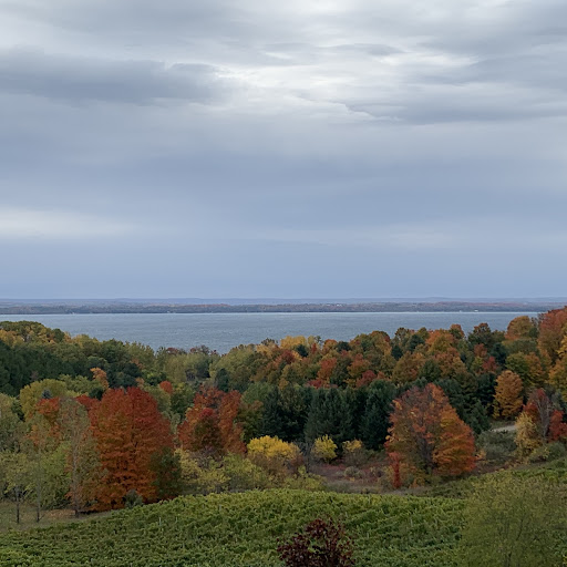 Jeffrey Schneider Photo 58 Jeffrey Schneider Photo 58