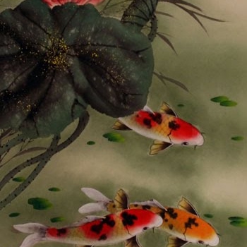 Drew Robertson Photo 16