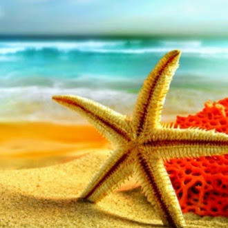 Denise Corcoran Photo 13