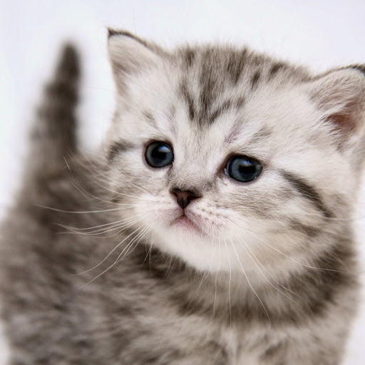 Adrian Oliver Photo 32