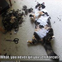 Susan Dozier Photo 7