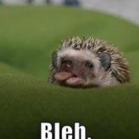 Janet Myles Photo 11