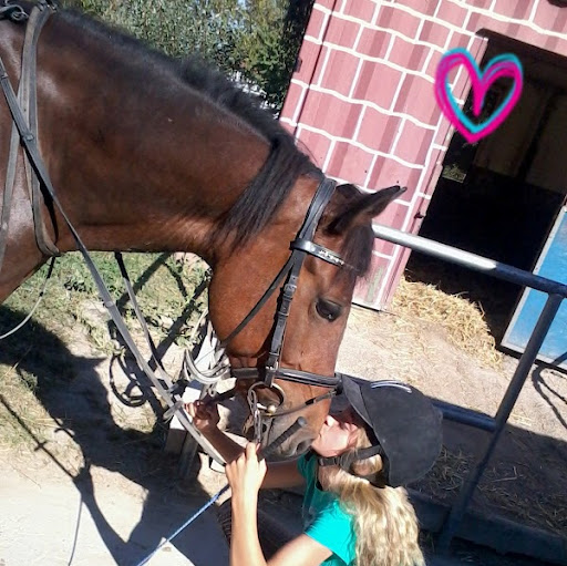 Michelle Zimmerman Photo 16