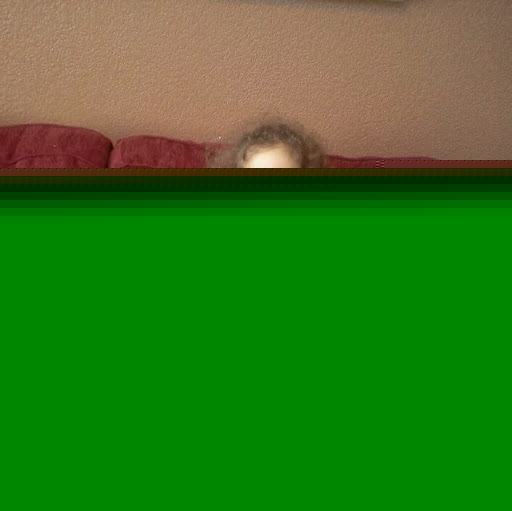 Terri Mayfield Photo 16