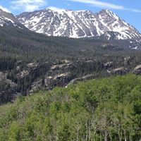 Ruth Duckworth Photo 20 Ruth Duckworth Photo 20