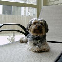 Cindy Kimball Photo 25