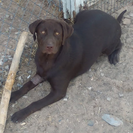 Diane Summers Photo 30