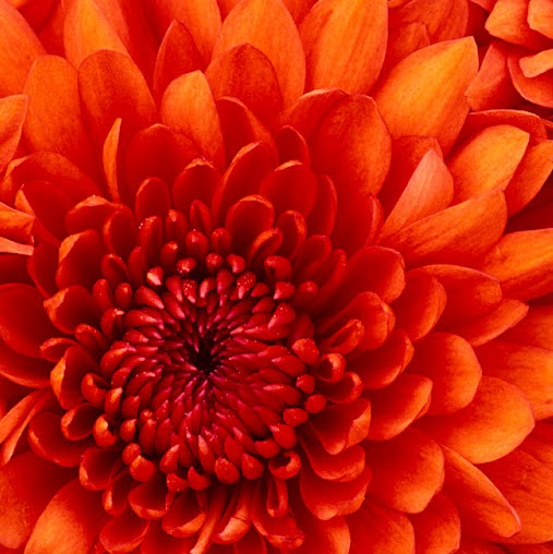 Ray Barker Photo 13 Ray Barker Photo 13