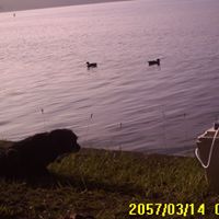 Robert Nickell Photo 16