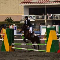 Andy Quintana Photo 17