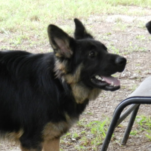 Paul Hunt Photo 42 Paul Hunt Photo 42