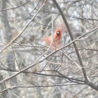 Kathy Dewitt Photo 10