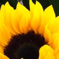 Stephanie Tew Photo 22