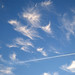 Diane Cloud Photo 8