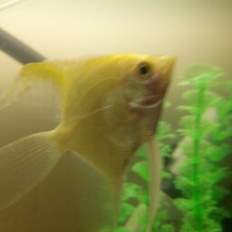 Heather Brogden Photo 2