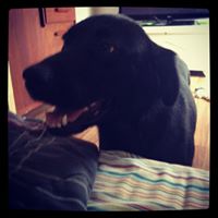 Sean Warren Photo 15