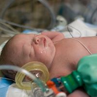 Timothy Bates Photo 16 Timothy Bates Photo 16