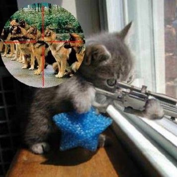 Fred Massey Photo 24