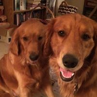 Joann Nielsen Photo 4