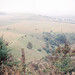 James Ridgeway Photo 33