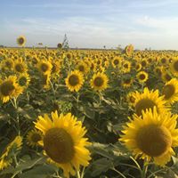 Amanda Pratt Photo 21