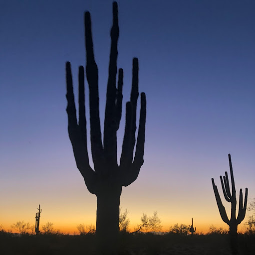 Corinne Fox Photo 24