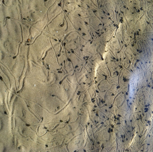 Jennifer Sapp Photo 17 Jennifer Sapp Photo 17